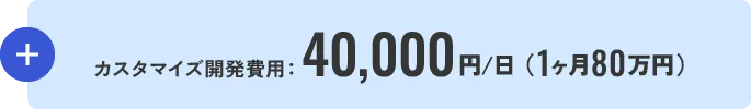 カスタマイズ開発費用